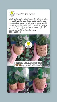 سمارت باي النصيرات - سلة نباتات