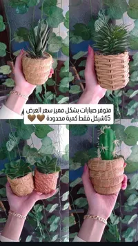 أصيص نباتات سلة حبل طبيعي
