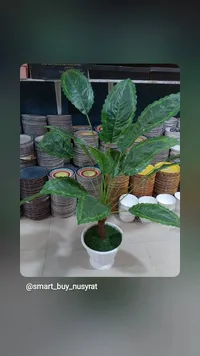 نبتة زينة صناعية في حوض أبيض