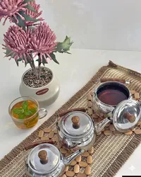 طقم أباريق شاي ستانلس ستيل بمقابض خشبية