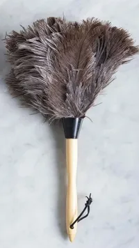 منفظة غبار بريش النعام