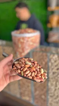 فول سوداني ني