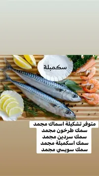 أسماك مشكلة - محمد