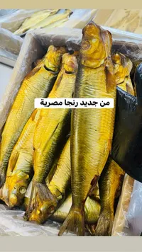 رنجة مصرية طازة