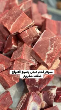 لحم عجل طازج - قطع متنوعة