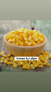 ذرة مجمدة