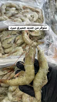 جمبري مبرد طازج