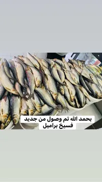 فسيخ براميل طازج