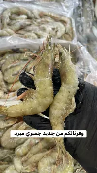 روبيان طازج - جمبري ميرد