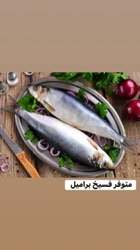 فسيخ براميل