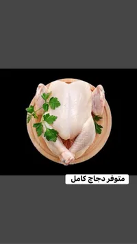 دجاج كامل طازج