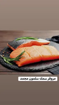 سمك سلمون مجمد - مروفر