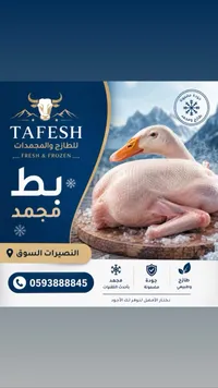 بط مجمد - طافش (Tafesh)