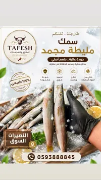 سمك مليطة مجمد - طافش (Tafesh)