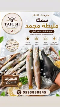 سمك مليطة مجمد - طفش (Tafesh)