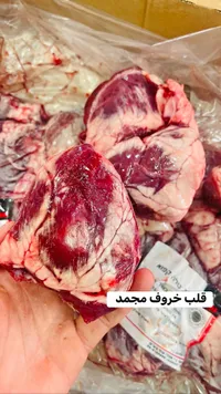 قلب خروف مجمد