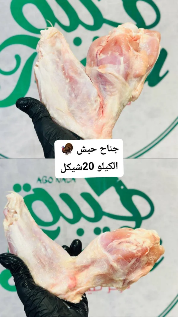 جناح حبش طازج - طيبة - مواد غذائية وبقالة - سوق غزة