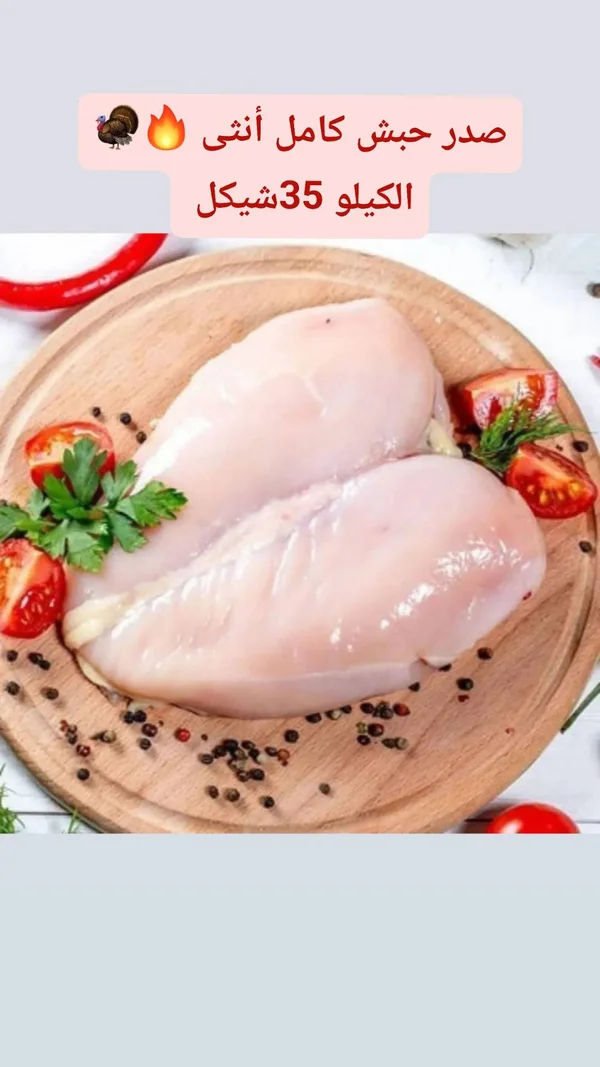 صدر حبش كامل أنثى - مواد غذائية وبقالة - سوق غزة