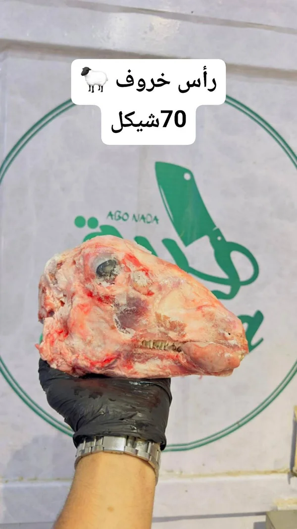 رأس خروف طازج - ملحمة أغونادا (Agonada) - مواد غذائية وبقالة - سوق غزة