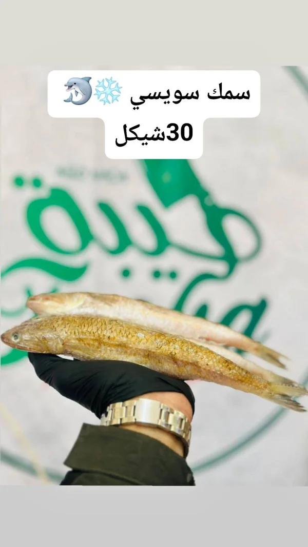 سمك سويسي مجمد - طيبة - مواد غذائية وبقالة - سوق غزة