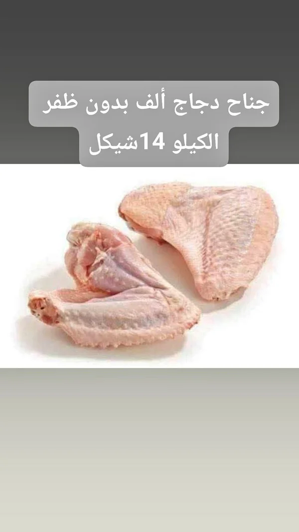 جناح دجاج ألف بدون ظفر - مواد غذائية وبقالة - سوق غزة