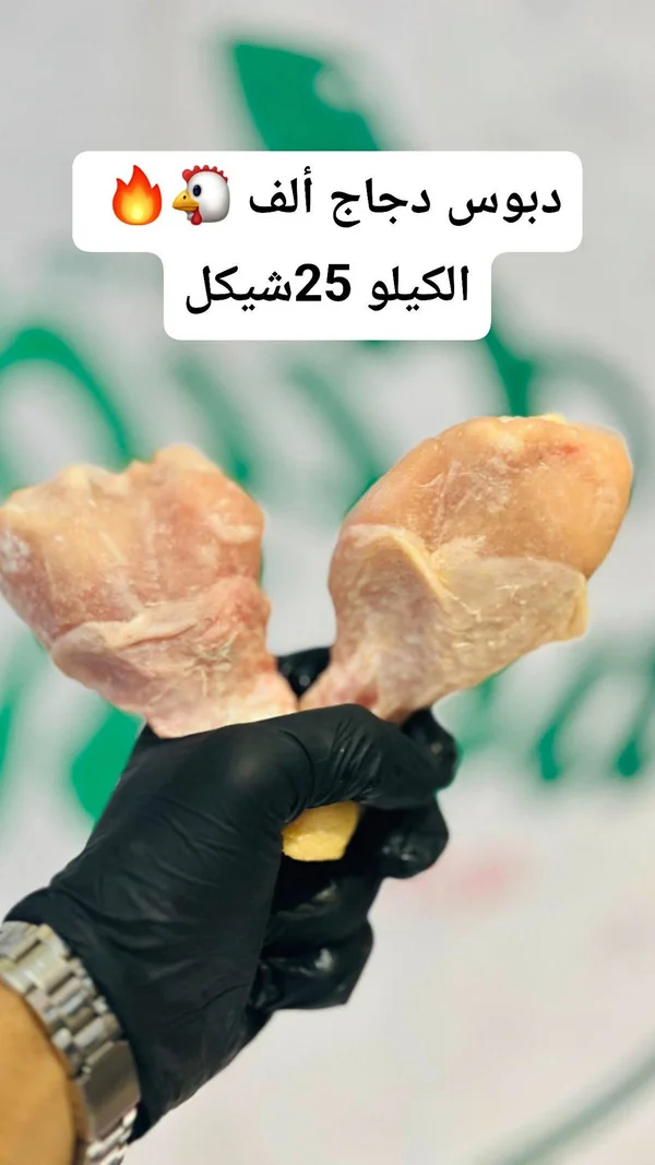 دبوس دجاج طازج - ألف - مواد غذائية وبقالة - سوق غزة