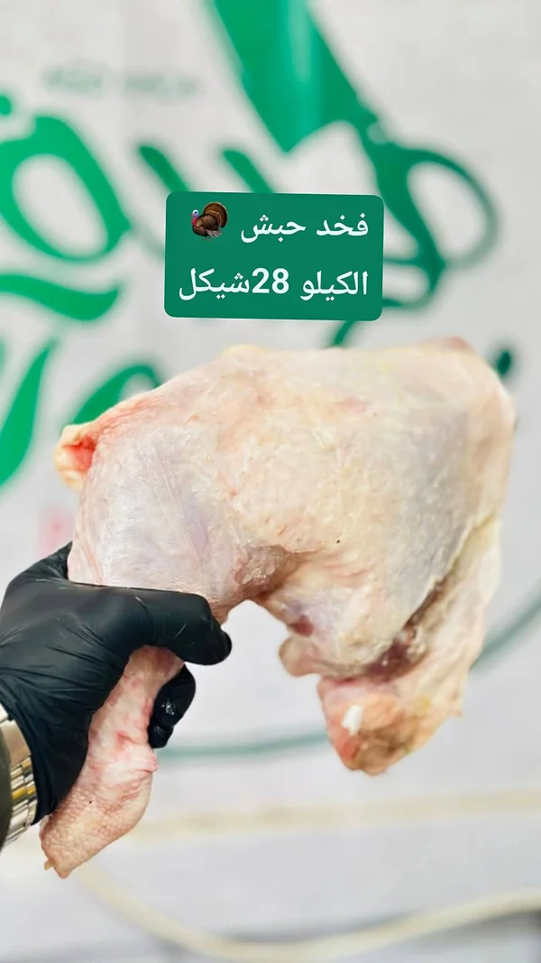 فخد حبش طازج - مواد غذائية وبقالة - سوق غزة