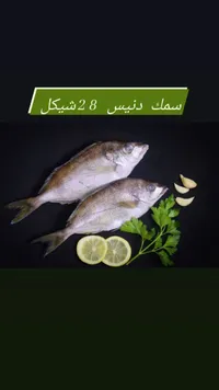 سمك دنيس - 2 شيكل
