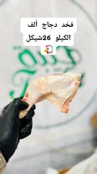 فخذ دجاج مجمد - ألف الكيلو
