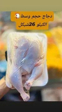 دجاج حجم وسط - 26 شيكل