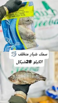 سمك شبار منظف - 28 شيكل/الكيلو