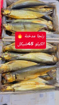 سمك رنجا مدخنة