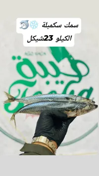 سمك سكمبرية - الكيلو 23 شيكل