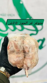 لحم دجاج طازج - متوفر في الجوز 20 شيكل