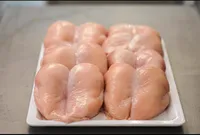 صدور دجاج طازة