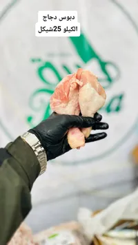 دبوس دجاج طازج - سوق غزة