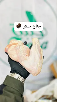 جناح حبش طازج