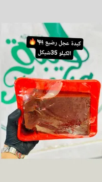 كبدة عجل رضيع - سوق غزة