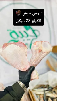 دبوس حبش طازج - سوق غزة