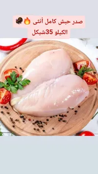 صدر حبش كامل أنثى - سوق غزة