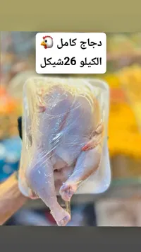 دجاج كامل طازج - سوق غزة