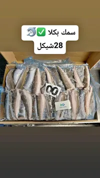 سمك بكلا مجمد - ديب أوشن (Deep Ocean) - سوق غزة