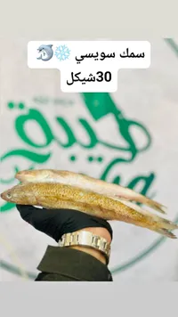 سمك سويسي مجمد - طيبة - سوق غزة