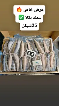 سمك بكلا مجمد - ديب أوشن (Deep Ocean) - سوق غزة