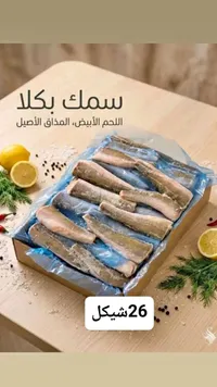 سمك بكلا مجمد - سوق غزة