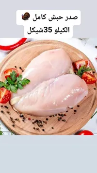 صدر حبش كامل - سوق غزة