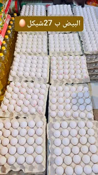 بيض طازج - سوق غزة