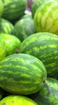 بطيخ أخضر طازج