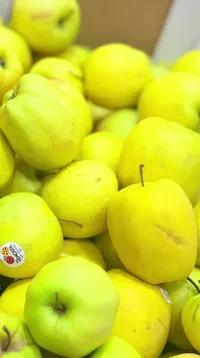تفاح أخضر طازج