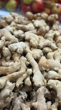 زنجبيل طازج